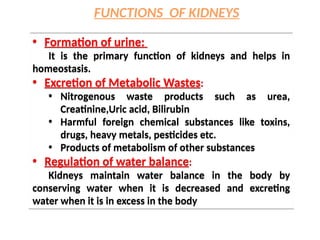 • Formation of urine:
It is the primary function of kidneys and helps in
homeostasis.
• Excretion of Metabolic Wastes:
• Nitrogenous waste products such as urea,
Creatinine,Uric acid, Bilirubin
• Harmful foreign chemical substances like toxins,
drugs, heavy metals, pesticides etc.
• Products of metabolism of other substances
• Regulation of water balance:
Kidneys maintain water balance in the body by
conserving water when it is decreased and excreting
water when it is in excess in the body
• Formation of urine:
It is the primary function of kidneys and helps in
homeostasis.
• Excretion of Metabolic Wastes:
• Nitrogenous waste products such as urea,
Creatinine,Uric acid, Bilirubin
• Harmful foreign chemical substances like toxins,
drugs, heavy metals, pesticides etc.
• Products of metabolism of other substances
• Regulation of water balance:
Kidneys maintain water balance in the body by
conserving water when it is decreased and excreting
water when it is in excess in the body
FUNCTIONS OF KIDNEYS
 