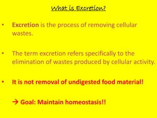 What is Excretion? 
• Excretion is the process of removing cellular 
wastes. 
• The term excretion refers specifically to the 
elimination of wastes produced by cellular activity. 
• It is not removal of undigested food material! 
 Goal: Maintain homeostasis!! 
 