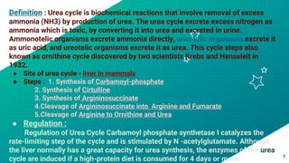 7
Definition : Urea cycle is biochemical reactions that involve removal of excess
ammonia (NH3) by production of urea. The urea cycle excrete excess nitrogen as
ammonia which is toxic, by converting it into urea and excreted in urine.
Ammonotelic organisms excrete ammonia directly, uricotelic organisms excrete it
as uric acid, and ureotelic organisms excrete it as urea. This cycle steps also
known as ornithine cycle discovered by two scientists Krebs and Henseleit in
1932.
● Site of urea cycle - liver in mammals
● Steps : 1. Synthesis of Carbamoyl-phosphate
2. Synthesis of Cirtulline
3. Synthesis of Argininosuccinate
4.Cleavage of Argininosuccinate into Arginine and Fumarate
5.Cleavage of Arginine to Ornithine and Urea
● Regulation :
Regulation of Urea Cycle Carbamoyl phosphate synthetase I catalyzes the
rate-limiting step of the cycle and is stimulated by N -acetylglutamate. Although
the liver normally has a great capacity for urea synthesis, the enzymes of the urea
cycle are induced if a high-protein diet is consumed for 4 days or more.
 