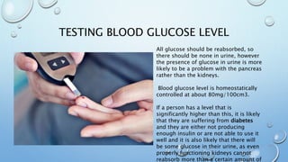 TESTING BLOOD GLUCOSE LEVEL
All glucose should be reabsorbed, so
there should be none in urine, however
the presence of glucose in urine is more
likely to be a problem with the pancreas
rather than the kidneys.
Blood glucose level is homeostatically
controlled at about 80mg/100cm3.
If a person has a level that is
significantly higher than this, it is likely
that they are suffering from diabetes
and they are either not producing
enough insulin or are not able to use it
well and it is also likely that there will
be some glucose in their urine, as even
properly functioning kidneys cannot
reabsorb more than a certain amount of
 