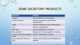SOME EXCRETORY PRODUCTS
PRODUCT SOURCE
oxygen Photosynthesis in autotrophs
Carbon dioxide Aerobic respiration and alcohol
fermentation
water Aerobic respiration and condensation
ions Nutrient metabolism
Bile salts Lipid metabolism in the liver
Bile pigments Breakdown of haemoglobin in the liver
Tannins and other organic
acids
Protein metabolism in plants
Urea, ammonia and uric
acid
Protein and nucleic acid metabolism in
animals
 
