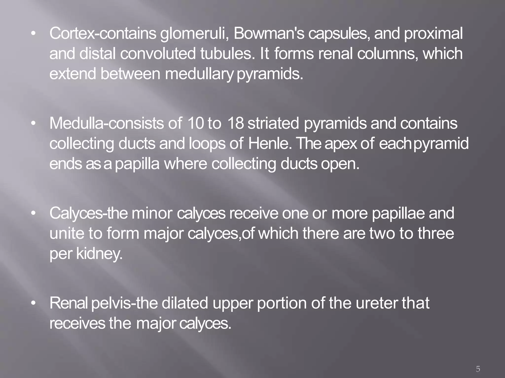 • Cortex-contains glomeruli, Bowman's capsules, and proximal
and distal convoluted tubules. It forms renal columns, which
extend between medullarypyramids.
• Medulla-consists of 10 to 18 striated pyramids and contains
collecting ducts and loops of Henle. Theapex of eachpyramid
ends asapapilla where collecting ducts open.
• Calyces-the minor calyces receive one or more papillae and
unite to form major calyces,of which there are two to three
per kidney.
• Renalpelvis-the dilated upper portion of the ureter that
receives the major calyces.
5
 