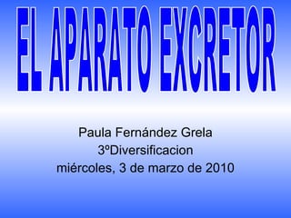 Paula Fernández Grela 3ºDiversificacion miércoles, 3 de marzo de 2010 EL APARATO EXCRETOR 