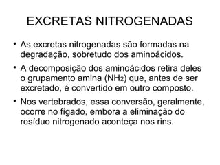 EXCRETAS NITROGENADAS

As excretas nitrogenadas são formadas na
degradação, sobretudo dos aminoácidos.

A decomposição dos aminoácidos retira deles
o grupamento amina (NH2) que, antes de ser
excretado, é convertido em outro composto.

Nos vertebrados, essa conversão, geralmente,
ocorre no fígado, embora a eliminação do
resíduo nitrogenado aconteça nos rins.
 