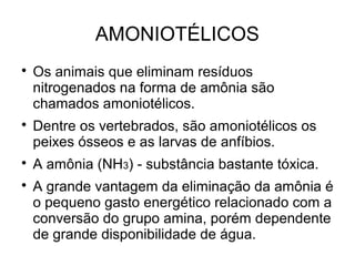 AMONIOTÉLICOS

Os animais que eliminam resíduos
nitrogenados na forma de amônia são
chamados amoniotélicos.

Dentre os vertebrados, são amoniotélicos os
peixes ósseos e as larvas de anfíbios.

A amônia (NH3) - substância bastante tóxica.

A grande vantagem da eliminação da amônia é
o pequeno gasto energético relacionado com a
conversão do grupo amina, porém dependente
de grande disponibilidade de água.
 