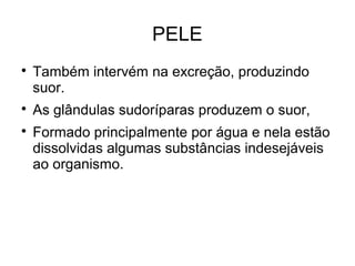 PELE

Também intervém na excreção, produzindo
suor.

As glândulas sudoríparas produzem o suor,

Formado principalmente por água e nela estão
dissolvidas algumas substâncias indesejáveis
ao organismo.
 