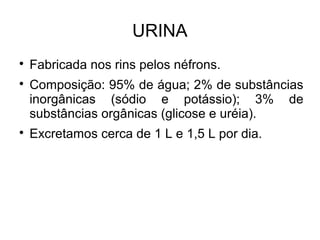 URINA

Fabricada nos rins pelos néfrons.

Composição: 95% de água; 2% de substâncias
inorgânicas (sódio e potássio); 3% de
substâncias orgânicas (glicose e uréia).

Excretamos cerca de 1 L e 1,5 L por dia.
 