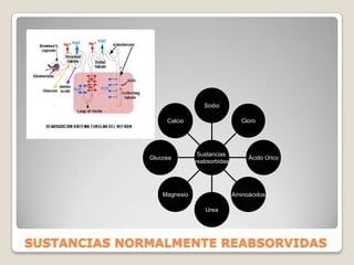 Sustancia a eliminarSustancia que no debe ser eliminadaFILTRACIÓN: salida de líquido de los capilares glomerulares al túbulo renalFILTRACIÓNMECANISMOS BÁSICOS DEL RIÑÓN