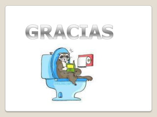 Cáliz MenorCáliz MayorPelvis Renal UréterVejigaUretraRECORRIDO DE LA ORINA