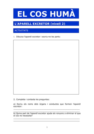 Aparell Excretor[2]exercicis