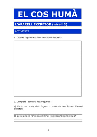 Aparell Excretor[3]exercicis