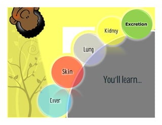 Liver
Lung
Kidney
Excretion
Skin
You’ll learn…
 