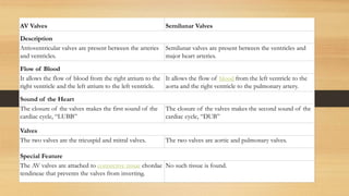 AV Valves Semilunar Valves
Description
Atrioventricular valves are present between the arteries
and ventricles.
Semilunar valves are present between the ventricles and
major heart arteries.
Flow of Blood
It allows the flow of blood from the right atrium to the
right ventricle and the left atrium to the left ventricle.
It allows the flow of blood from the left ventricle to the
aorta and the right ventricle to the pulmonary artery.
Sound of the Heart
The closure of the valves makes the first sound of the
cardiac cycle, “LUBB”
The closure of the valves makes the second sound of the
cardiac cycle, “DUB”
Valves
The two valves are the tricuspid and mitral valves. The two valves are aortic and pulmonary valves.
Special Feature
The AV valves are attached to connective tissue chordae
tendineae that prevents the valves from inverting.
No such tissue is found.
 