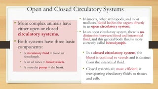 Open and Closed Circulatory Systems
• More complex animals have
either open or closed
circulatory systems.
• Both systems have three basic
components:
• A circulatory fluid = blood or
hemolymph.
• A set of tubes = blood vessels.
• A muscular pump = the heart.
• In insects, other arthropods, and most
molluscs, blood bathes the organs directly
in an open circulatory system.
• In an open circulatory system, there is no
distinction between blood and interstitial
fluid, and this general body fluid is more
correctly called hemolymph.
• In a closed circulatory system, the
blood is confined to vessels and is distinct
from the interstitial fluid.
• Closed systems are more efficient at
transporting circulatory fluids to tissues
and cells.
 
