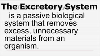 Cardiovascular System and Excretory system