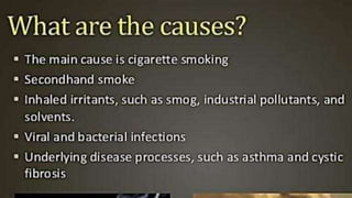 Cardiovascular System and Excretory system
