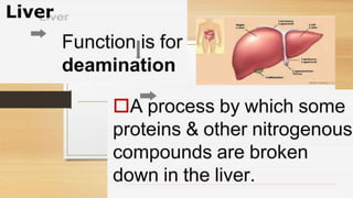 Cardiovascular System and Excretory system