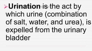 Cardiovascular System and Excretory system