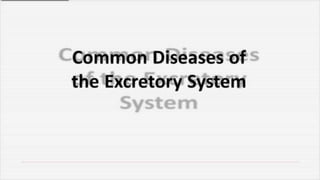 Cardiovascular System and Excretory system