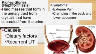 Cardiovascular System and Excretory system
