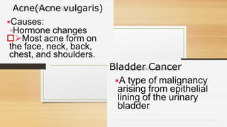 Cardiovascular System and Excretory system