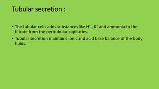 Tubular secretion :
• The tubular cells adds substances like H+ , K+ and ammonia to the
filtrate from the peritubular capillaries.
• Tubular secretion maintains ionic and acid base balance of the body
fluids.
 