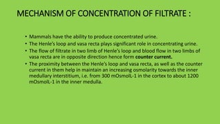 MECHANISM OF CONCENTRATION OF FILTRATE :
• Mammals have the ability to produce concentrated urine.
• The Henle’s loop and vasa recta plays significant role in concentrating urine.
• The flow of filtrate in two limb of Henle’s loop and blood flow in two limbs of
vasa recta are in opposite direction hence form counter current.
• The proximity between the Henle’s loop and vasa recta, as well as the counter
current in them help in maintain an increasing osmolarity towards the inner
medullary interstitium, i.e. from 300 mOsmolL-1 in the cortex to about 1200
mOsmolL-1 in the inner medulla.
 
