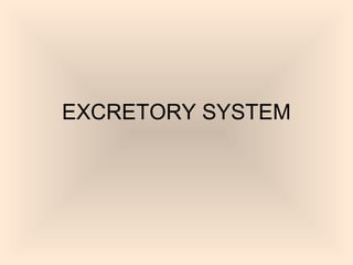 EXCRETORY SYSTEM
 