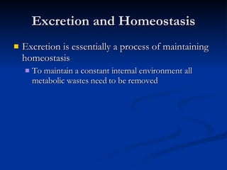 Excretion and Homeostasis Excretion is essentially a process of maintaining homeostasis To maintain a constant internal environment all metabolic wastes need to be removed 
