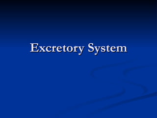 Excretory System 