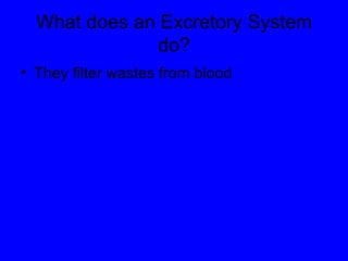 What does an Excretory System do? They filter wastes from blood 