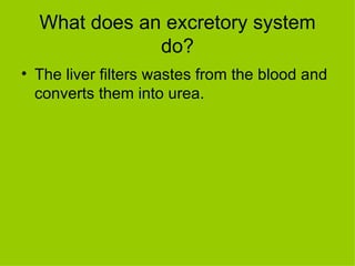What does an excretory system do? The liver filters wastes from the blood and converts them into urea.  