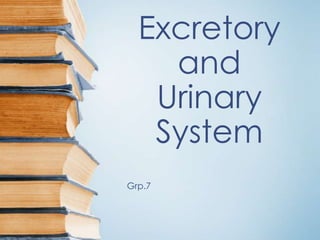 Excretory
    and
   Urinary
   System
Grp.7
 