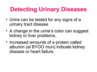 Detecting Urinary Diseases
• Urine can be tested for any signs of a
  urinary tract disease
• A change in the urine’s color can suggest
  kidney or liver problems.
• Increased amounts of a protein called
  albumin (al BYOO mun) indicate kidney
  disease or heart failure.
 