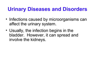 Urinary Diseases and Disorders
• Infections caused by microorganisms can
  affect the urinary system.
• Usually, the infection begins in the
  bladder. However, it can spread and
  involve the kidneys.
 