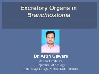 Dr. Arun Gaware
Assistant Professor,
Department of Zoology,
Shri Shivaji College, Motala, Dist. Buldhana
 