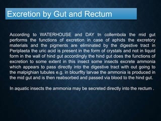 Excretion by Gut and Rectum
According to WATERHOUSE and DAY tn collembola the mid gut
performs the functions of excretion in case of aphids the excretory
materials and the pigments are eliminated by the digestive tract in
Periplaeta the uric acid is present in the form of crystals and not in liquid
form in the wall of hind gut accordingly the hind gut does the functions of
excretion to some extent in this insect some insects excrete ammonia
which appears to pass directly into the digestive tract with out going to
the malpighian tubules e.g. in blourflty larvae the ammonia is produced in
the mid gut and is then reabsorbed and passed via blood to the hind gut.
In aquatic insects the ammonia may be secreted directly into the rectum .
 