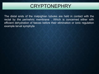 CRYPTONEPHRY
The distal ends of the malpighian tubules are held in contact with the
rectal by the perinehric membrane . Which is concerned either with
efficient dehydration of faeces before their elimination or ionic regulation
example larval symphyta
 