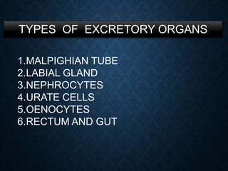TYPES OF EXCRETORY ORGANS
1.MALPIGHIAN TUBE
2.LABIAL GLAND
3.NEPHROCYTES
4.URATE CELLS
5.OENOCYTES
6.RECTUM AND GUT
 