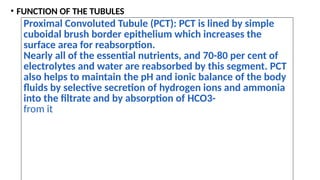 Pct Cd Function EXCRETORY PRODUCTS AND their elimination.pptx