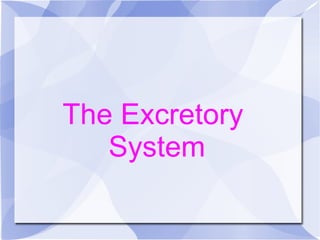The Excretory  System 