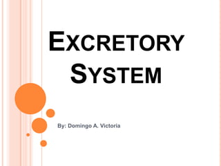 Excretory System By: Domingo A. Victoria 