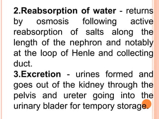 2.Reabsorption of water  - returns by osmosis following active reabsorption of salts along the length of the nephron and notably at the loop of Henle and collecting duct.  3.Excretion  - urines formed and goes out of the kidney through the pelvis and ureter going into the urinary blader for tempory storage.  