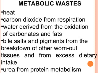 METABOLIC WASTES   heat  carbon dioxide from respiration  water derived from the oxidation of carbonates and fats  bile salts and pigments from the  breakdown of other worn-out  tissues and from excess dietary intake  urea from protein metabolism  