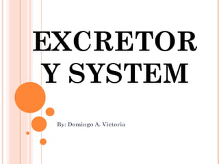 EXCRETORY SYSTEM By: Domingo A. Victoria 