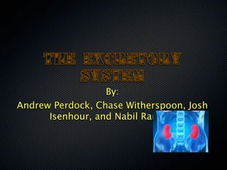 The Excretory
         System
                  By:
Andrew Perdock, Chase Witherspoon, Josh
      Isenhour, and Nabil Ranjbar
 