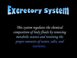 Excretory System This system regulates the chemical  composition of body fluids by removing   metabolic wastes and retaining the   proper amounts of water, salts, and   nutrients.  