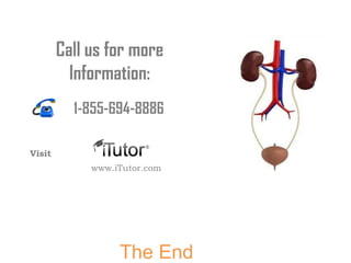 The End
Call us for more
Information:
www.iTutor.com
1-855-694-8886
Visit
 