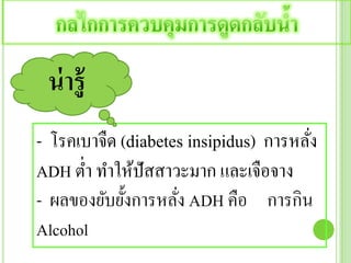 - โรคเบาจืด (diabetes insipidus) การหลั่ง
ADH ต่า ทาให้ปัสสาวะมาก และเจือจาง
- ผลของยับยั้งการหลั่ง ADH คือ การกิน
Alcohol
น่ารู้
 