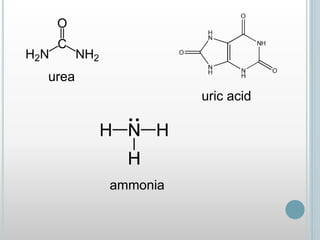 urea
uric acid
ammonia
 